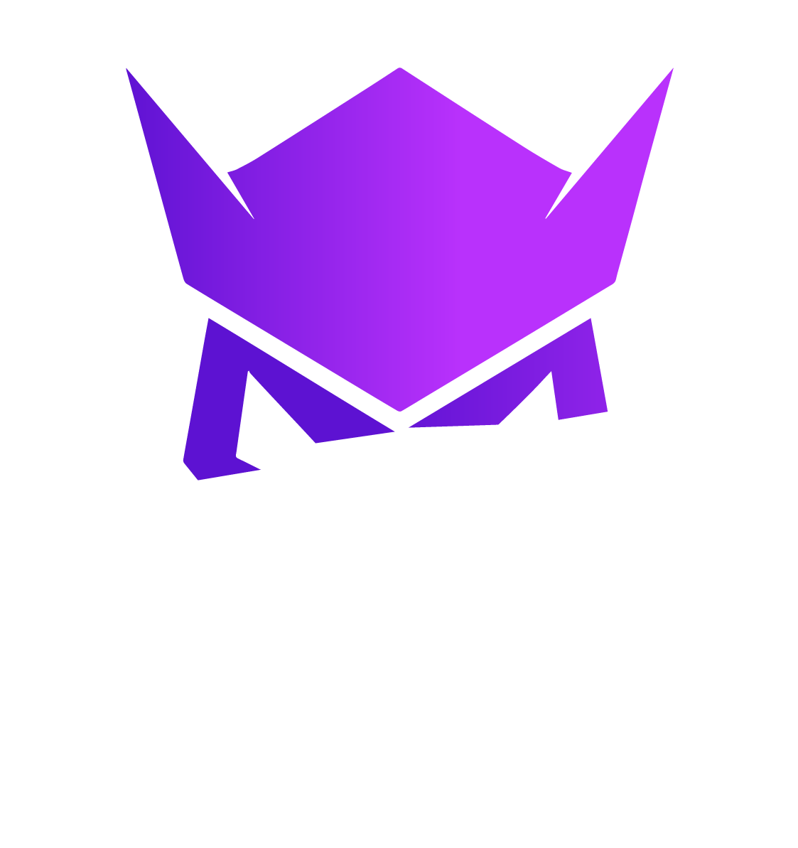 Sponsor